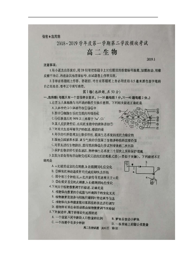 山东省枣庄市2018-2019学年高二上学期期末第二学段模块考试生物试题+扫描版