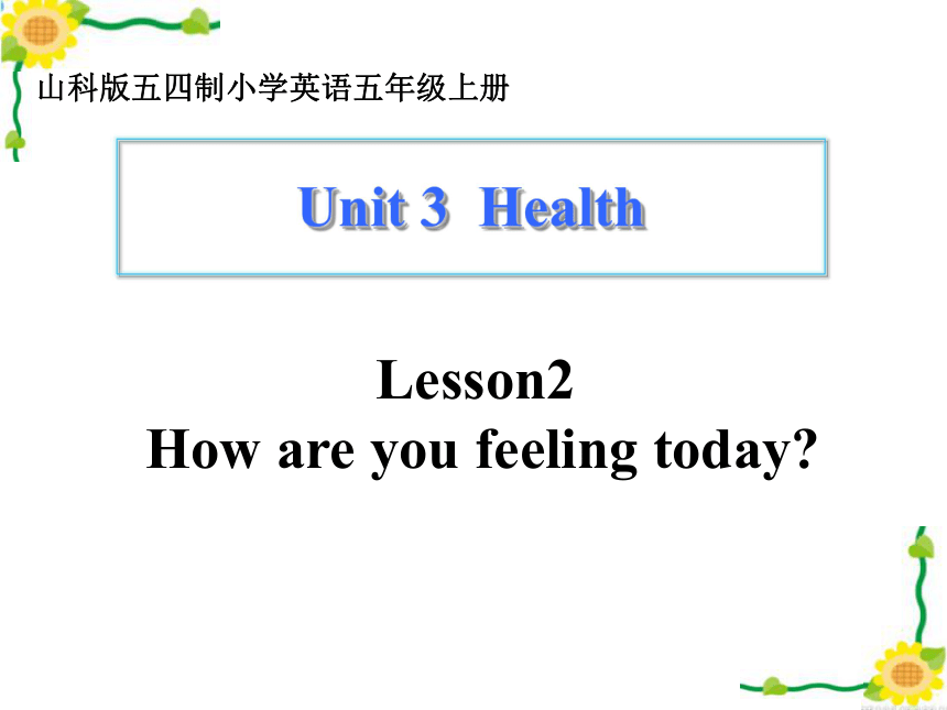 Unit 3 Health Lesson 2 课件