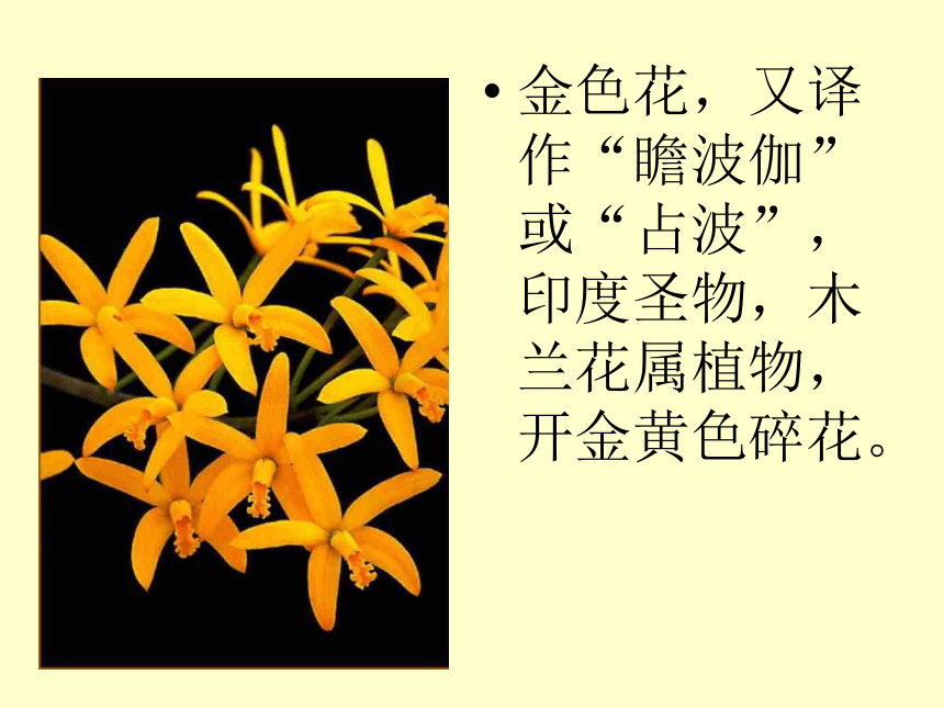 金色花