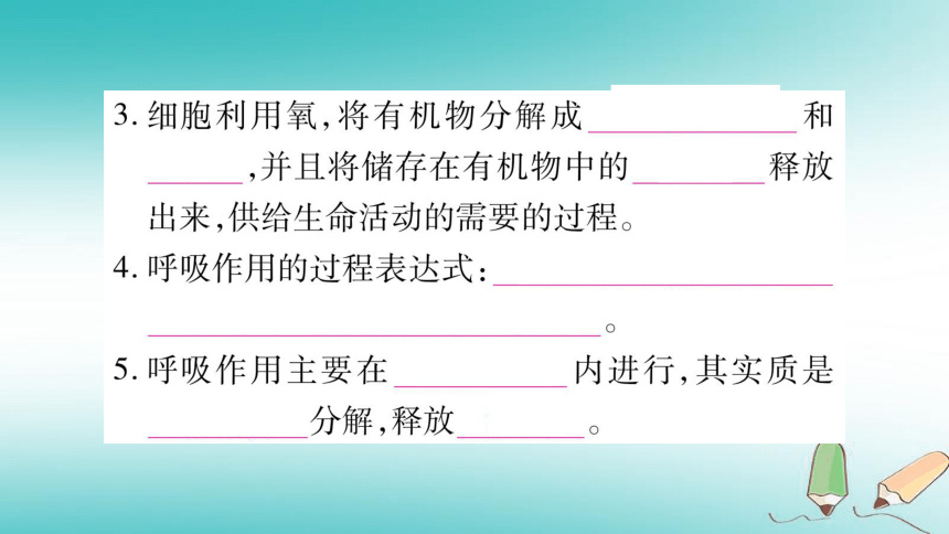 2018秋七年级生物上册第3单元第5章第2节绿色植物的呼吸作用习题课件（25张PPT）