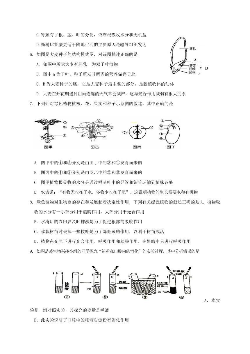 河北省唐山市丰南区2017-2018学年八年级下学期期中考试地理、生物试题(2018年丰南区生物中考第一次模拟考试)