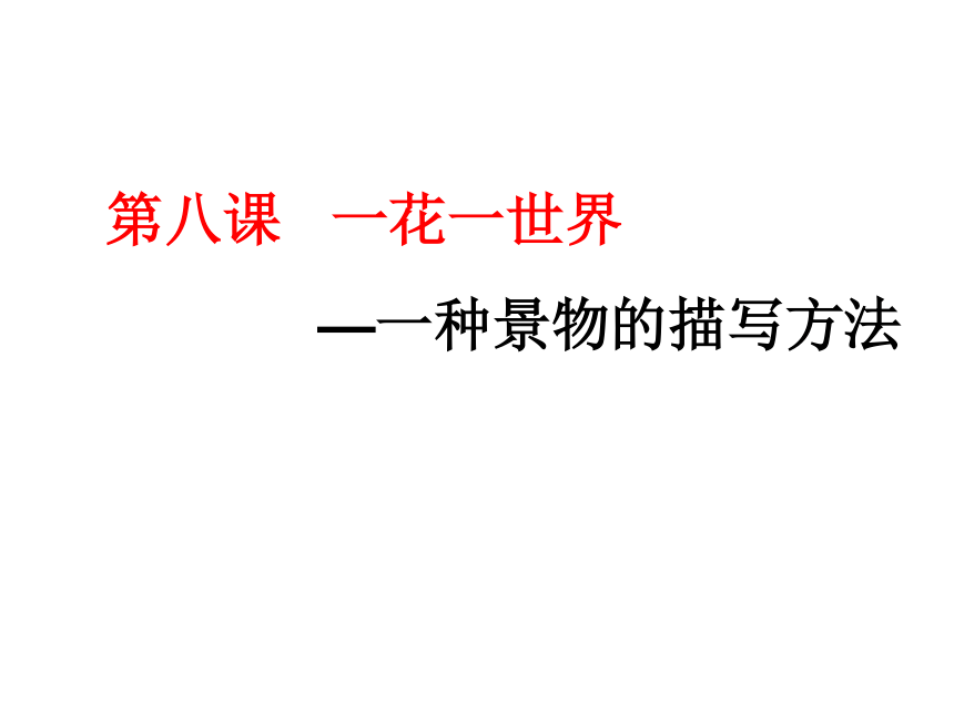 课件预览