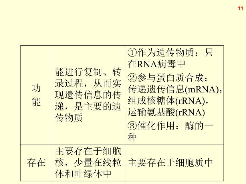 【原创】2013届高三生物复习课件-- -遗传信息的携带者