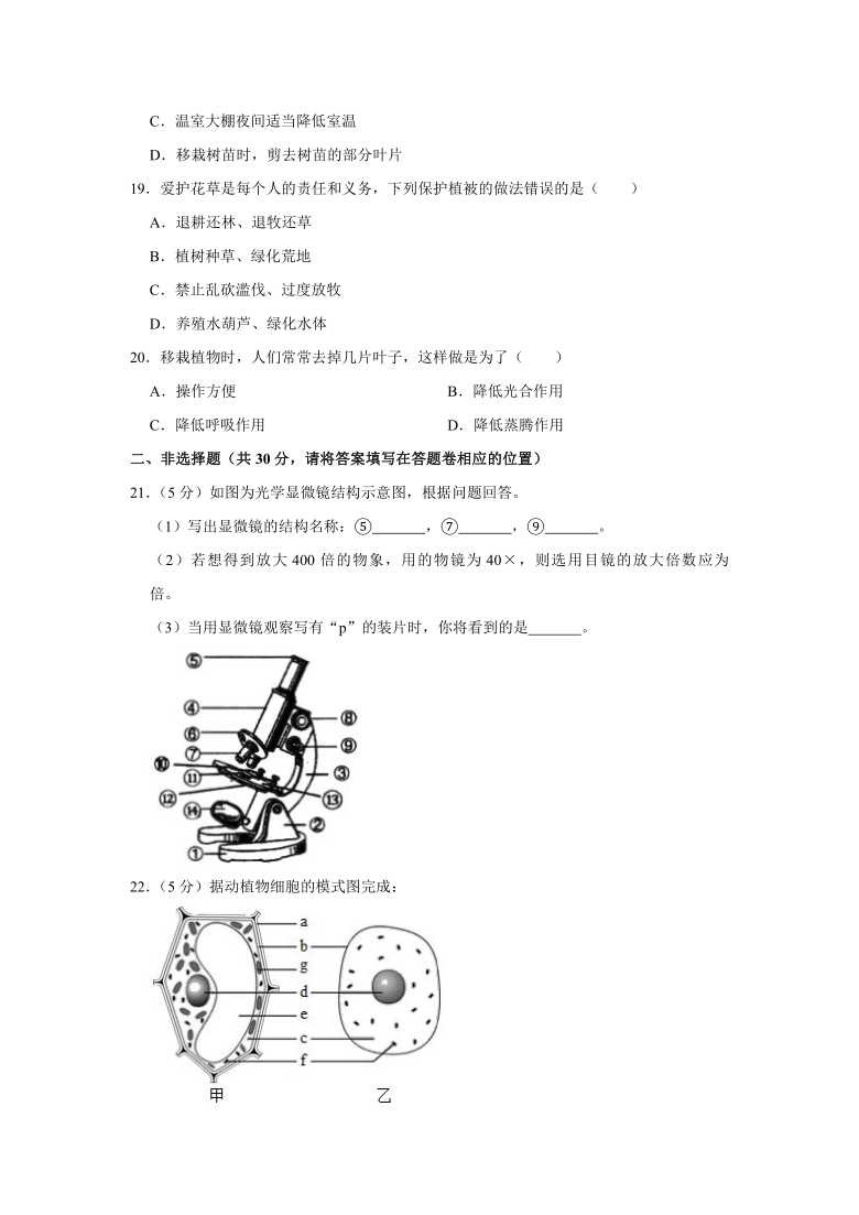 2020-2021学年重庆市綦江区七年级（上）期末生物试卷   解析版