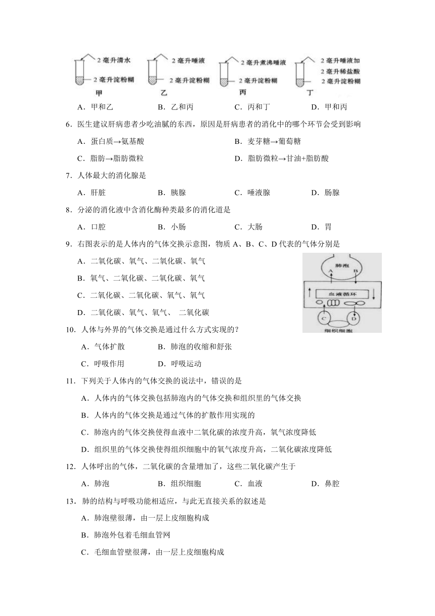 四川省广安市岳池县2016-2017学年七年级下学期期中质量检测生物试卷