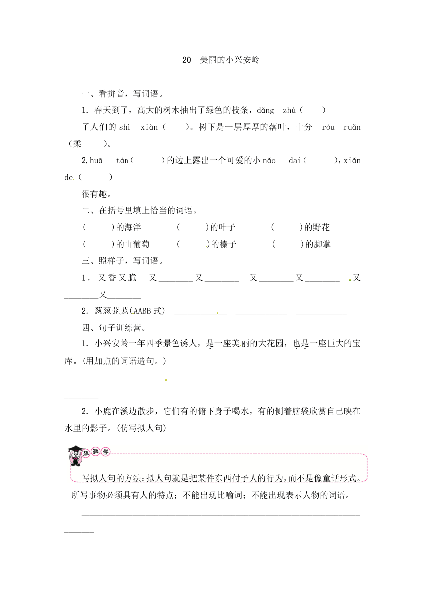 三年级上册语文一课一练－第6单元 20 美丽的小兴安岭 ∣人教（部编版）（含答案）