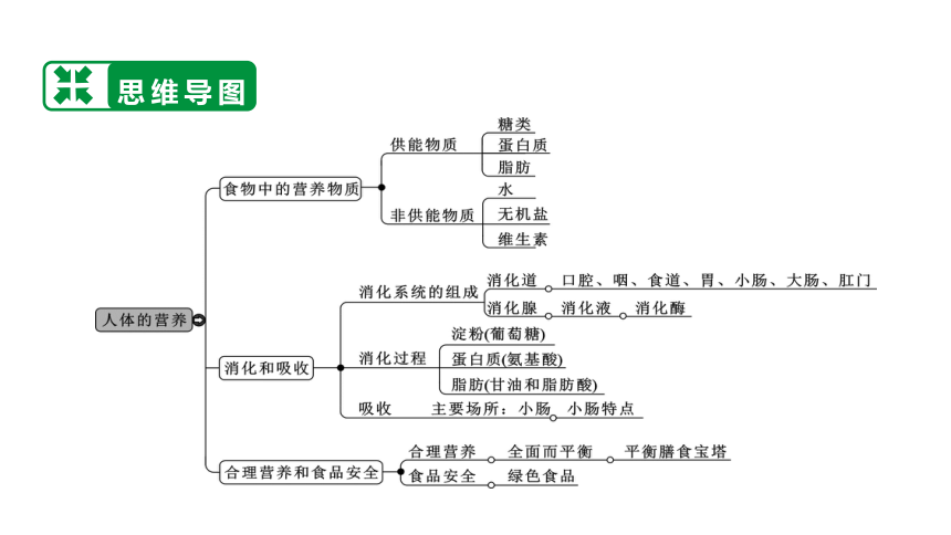 2021年生物中考四川泸州专用生物考点解读  第四讲 人体的营养  课件（共53张PPT）