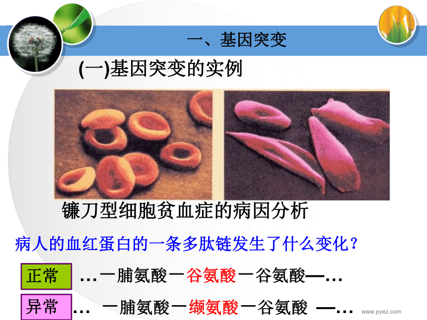 基因突变和基因重组[下学期]