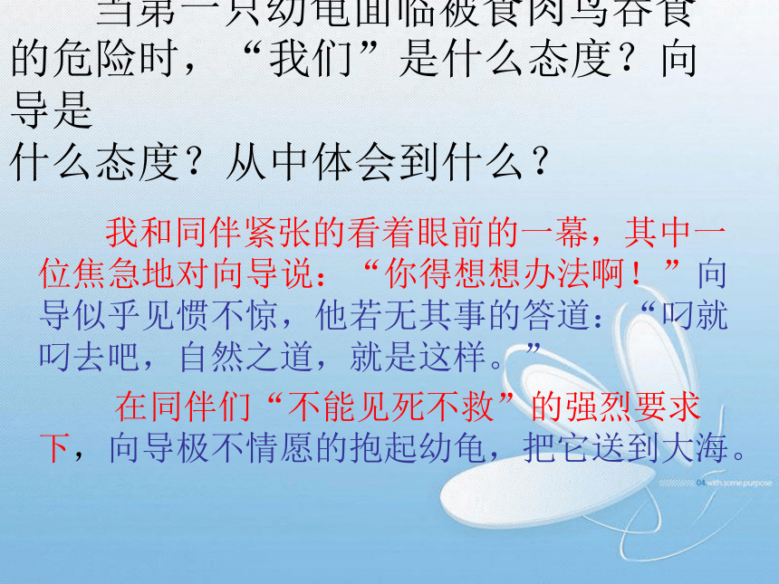 语文五年级上西师大版7.26《自然之道》课件3