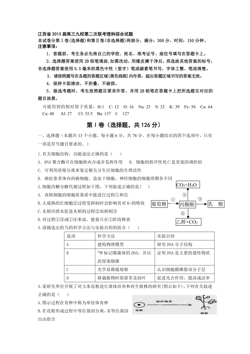 江西省2013届高三九校第二次联考理科综合试题(无答案）