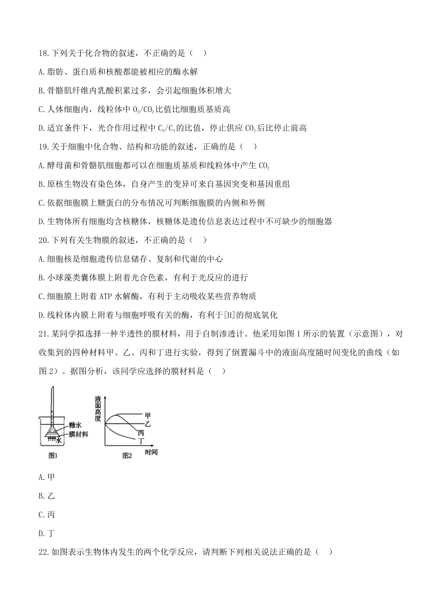 河北省衡水中学2019届高三上学期二调考试 生物