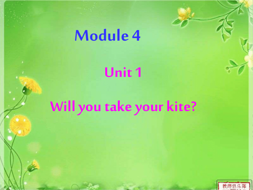 Module 4>Unit 1 Will you take your kite?