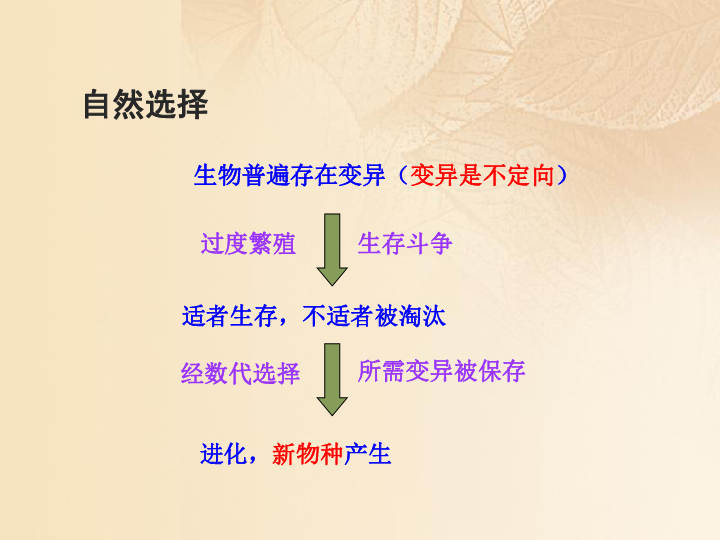 2019高中生物第五章生物的进化5.2进化性变化是怎样发生的课件浙科版必修2（30张PPT）