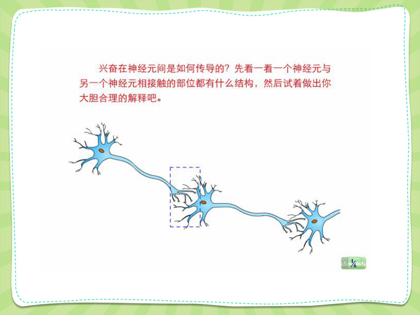 高中生物人教版必修3 第二章第1节通过神经系统的调节第2课时 课件（34PPT）