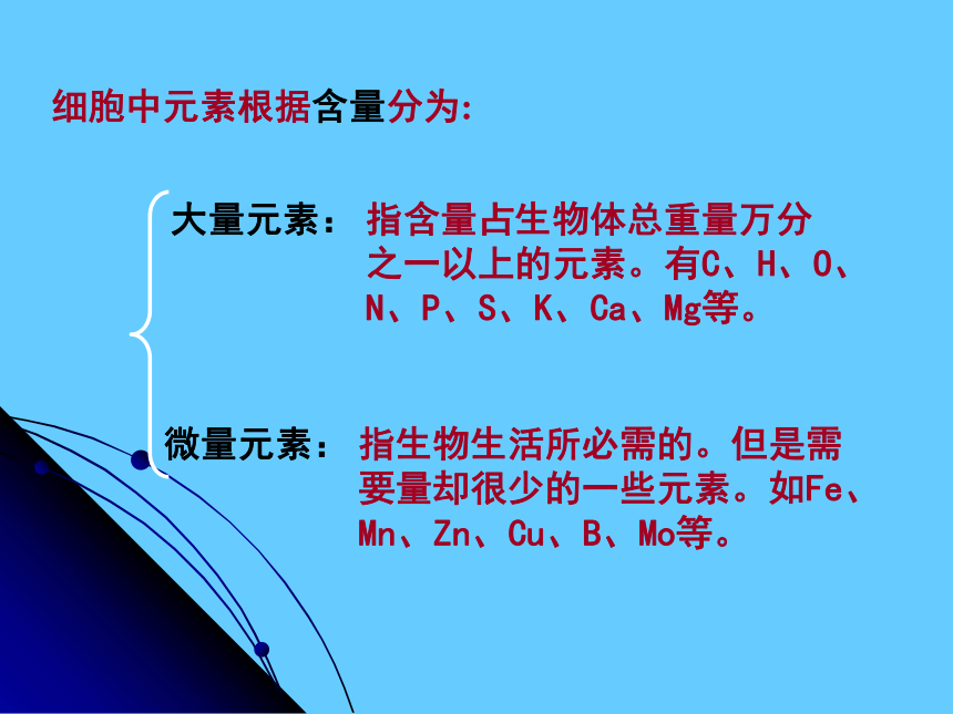 人教版高中生物必修一第一章第1节  细胞中的元素和化合物 课件（21张）