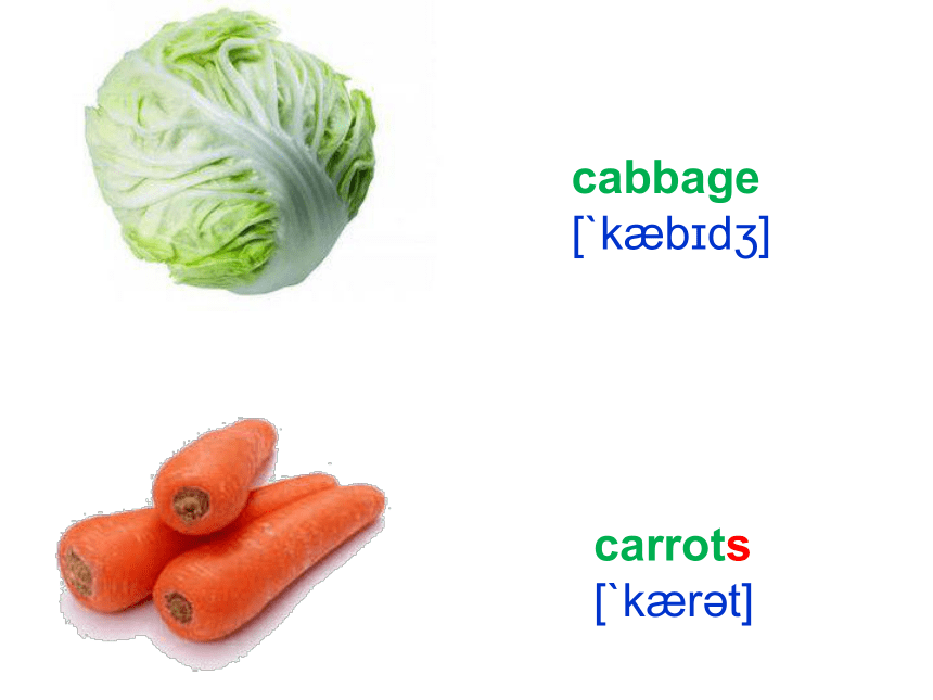 cabbagenoodles图片