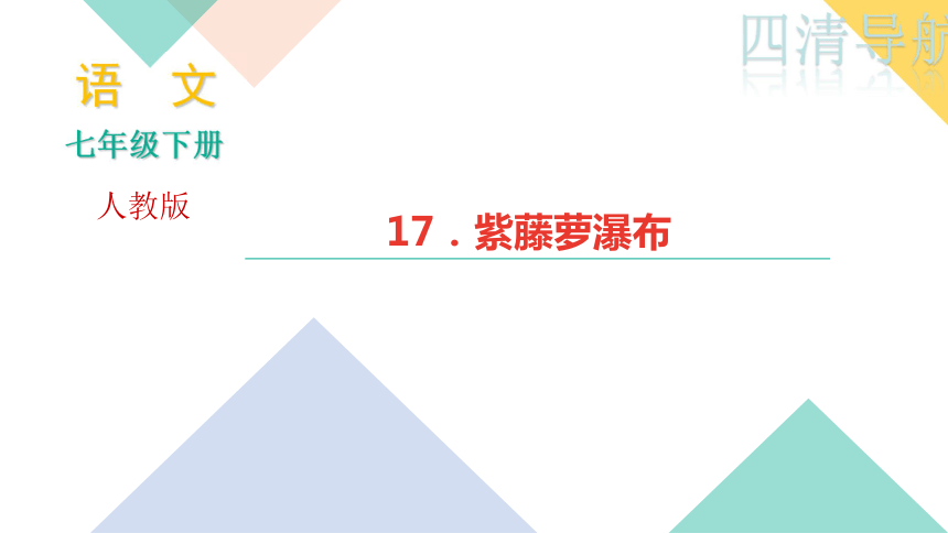 四清导航2017—2018学年语文人教版七年级下册作业课件：17．紫藤萝瀑布