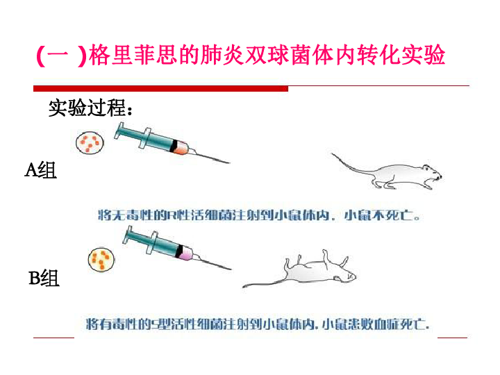 人教版必修2高中生物3.1 DNA是主要的遗传物质(25张PPT)