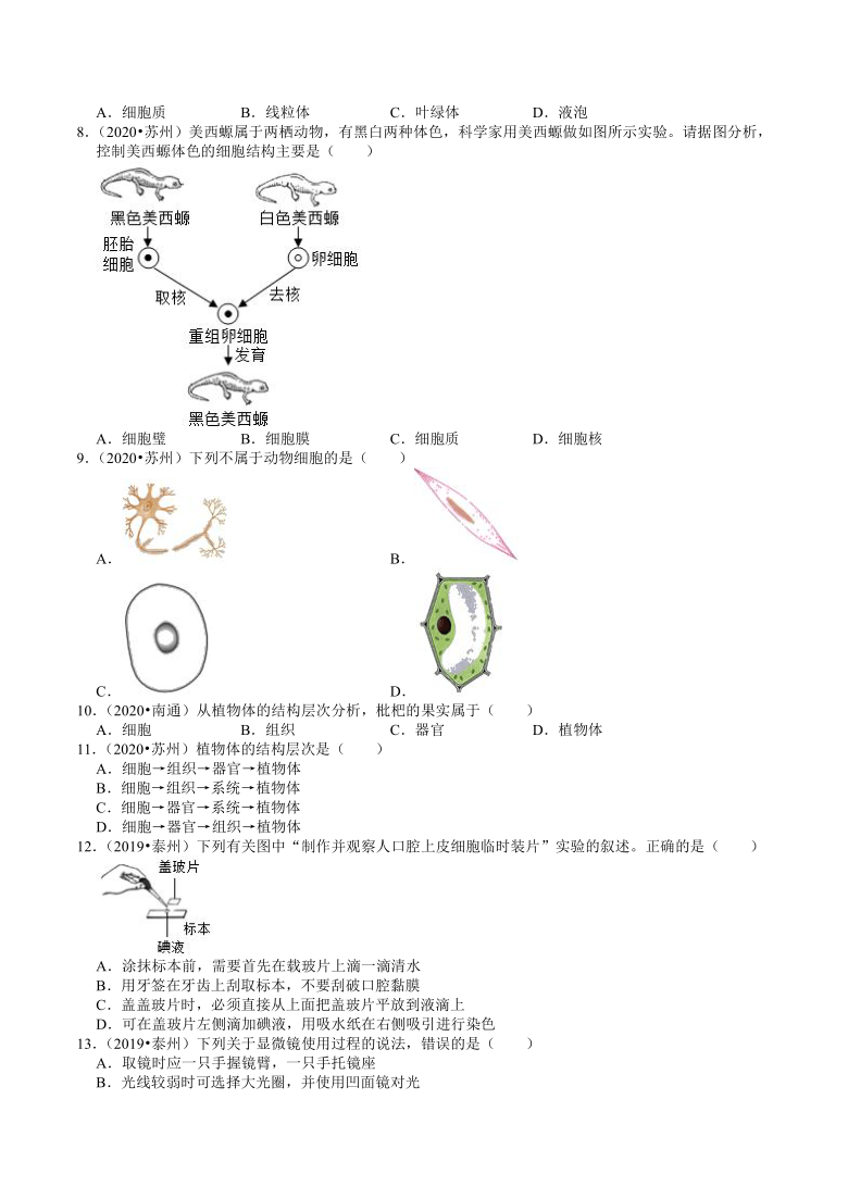 江苏省2018-2020年近两年中考生物试题分类（1）——生命的结构层次(含解析)