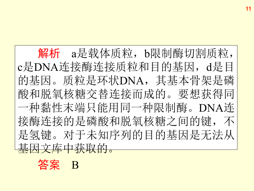 【原创】2013届高三生物复习课件--第 1 讲　基因工程)
