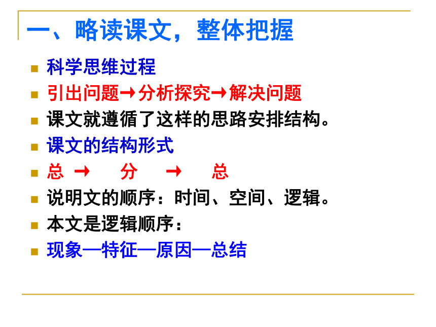 动物游戏之谜课件