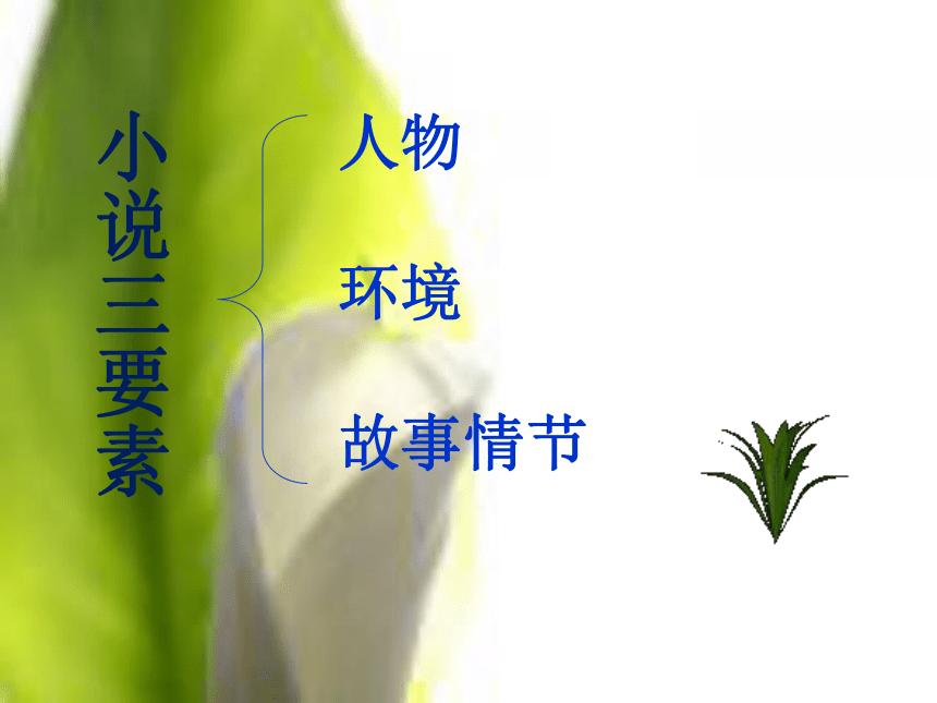 《最后的常春藤叶》 课件(共22张PPT)