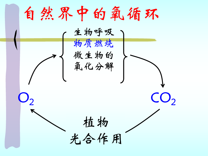 第7节 自然界中的氧循环和碳循环（课件 19张ppt）