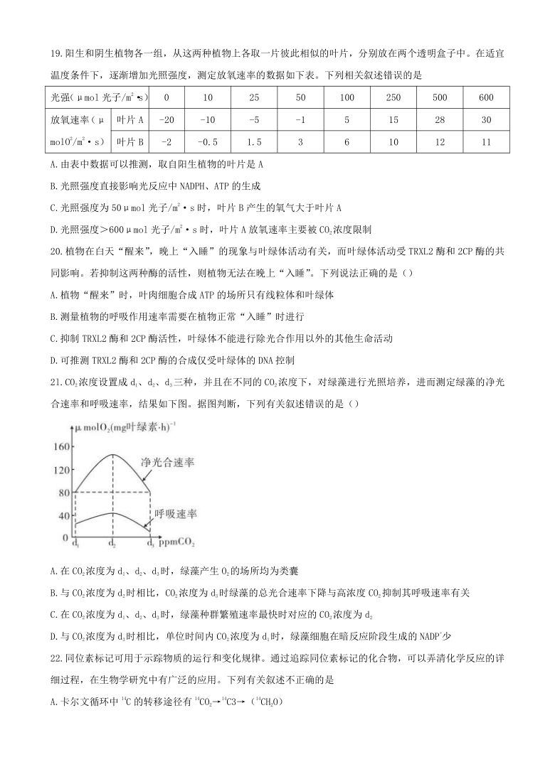 广东省珠海第二高中2020-2021学年高一12月月考生物试题  含答案