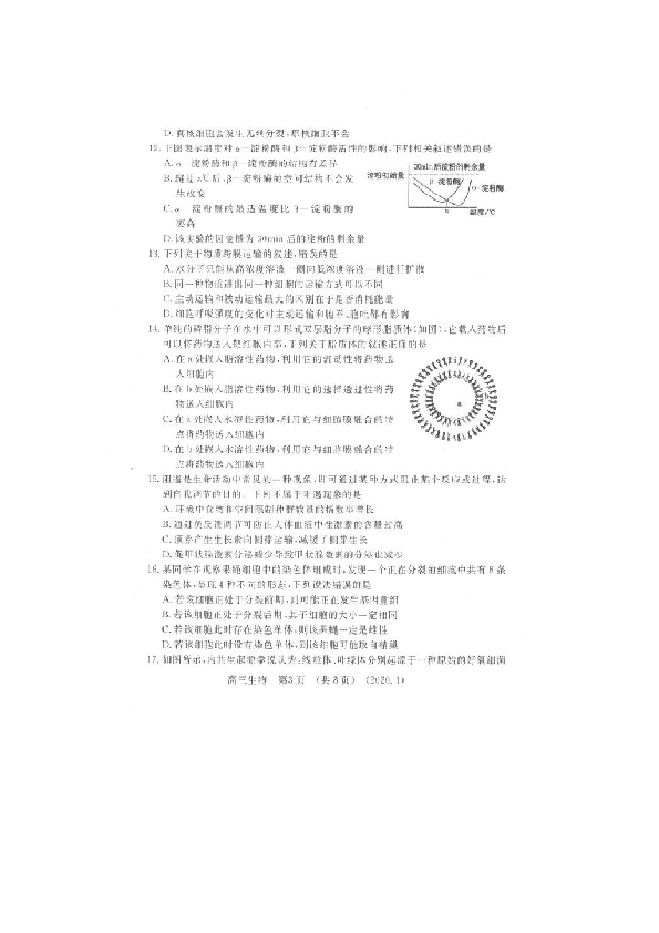 河南省洛阳市2019-2020学年高三第一次统一考试试卷（1月）生物试题（图片版含答案）