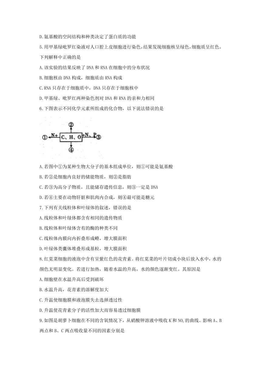 四川省乐山市2016-2017学年高一上学期期末考试生物试题 Word版含答案