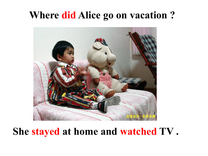 Unit 10 Where did you go on vacation?（Section A Period 1）