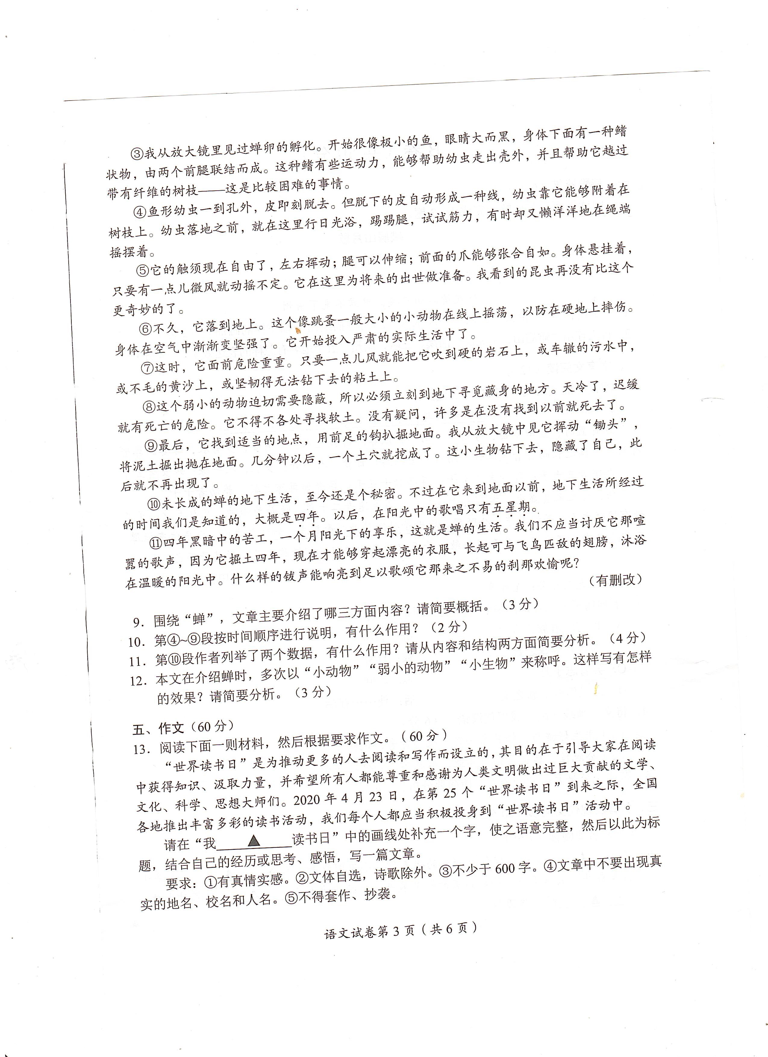 四川省甘孜州2020年中考语文试题（PDF版，无答案）