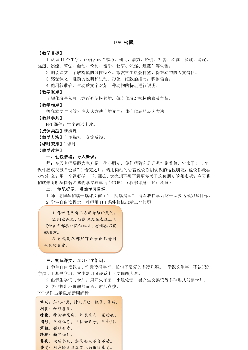 人教五年级上册语文第三组10 松鼠教案