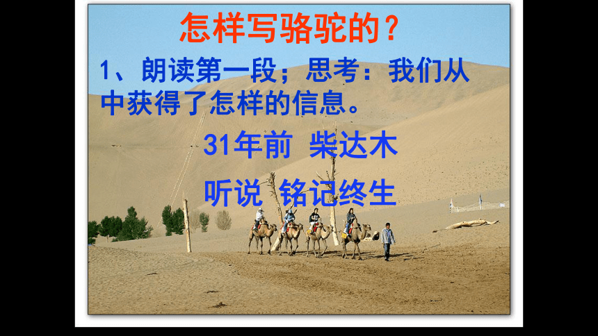 鄂教版九年级语文上册自制第1课《骆驼赋》（31张ppt）