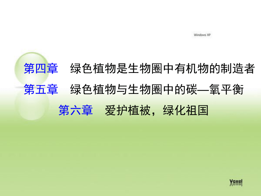 人教版七年级上册生物第四章至第六章 复习课件（共50张PPT）