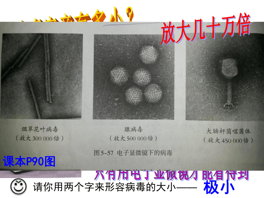 病毒 课件48张PPT