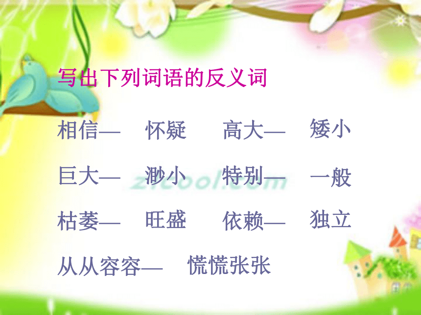 3.《桃花心木》课件