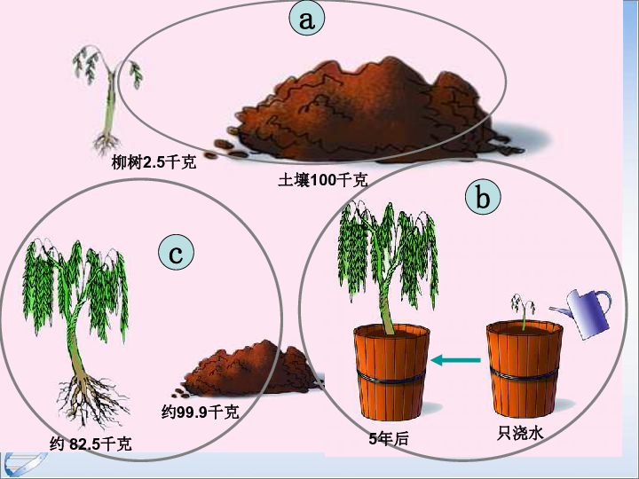 人教版七上3.5.2绿色植物的光合作用课件(19张ppt)