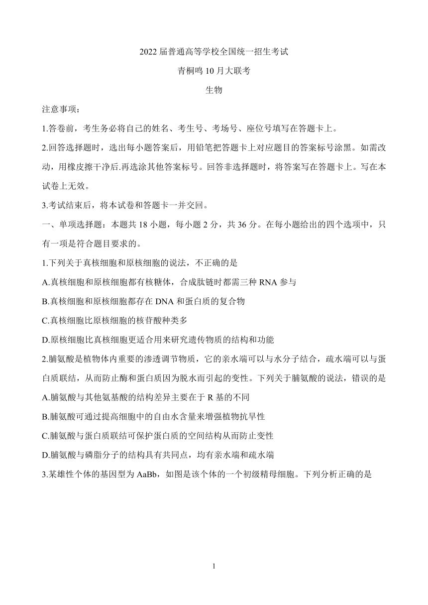 2022届高三普通高等学校全国统一招生考试青桐鸣10月大联考 生物 Word版含解析