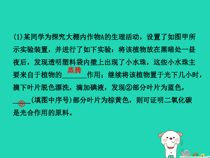 第三单元第四、五、六章复习课件（32张PPT）