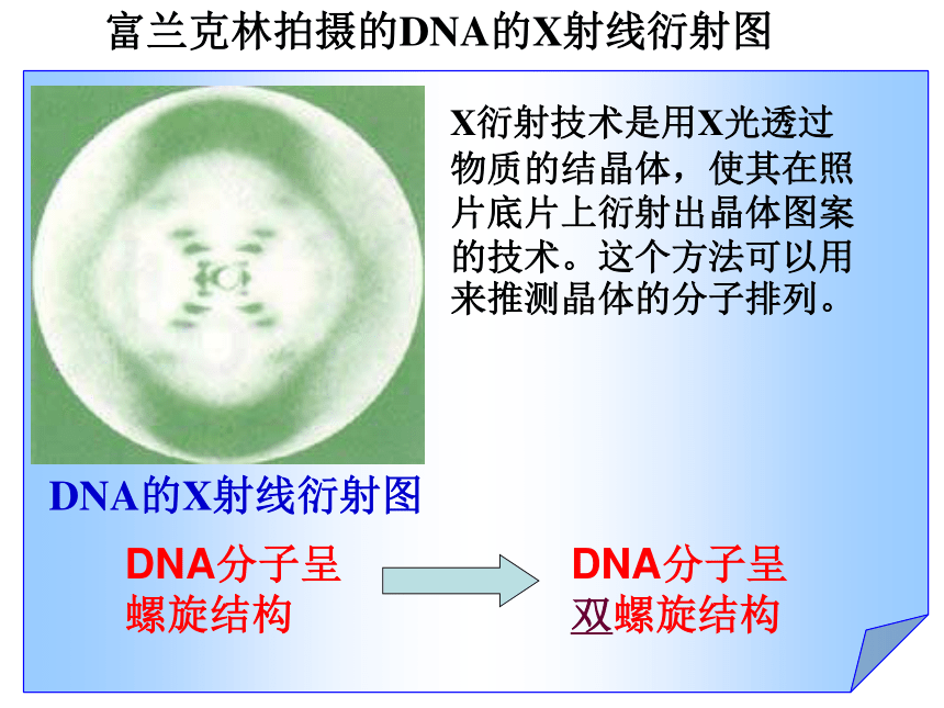 高中生物人教版必修2第三章第2节 DNA分子的结构   课件(44张ppt)