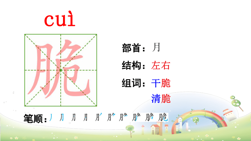 16. 表里的生物   课件（共49张PPT）