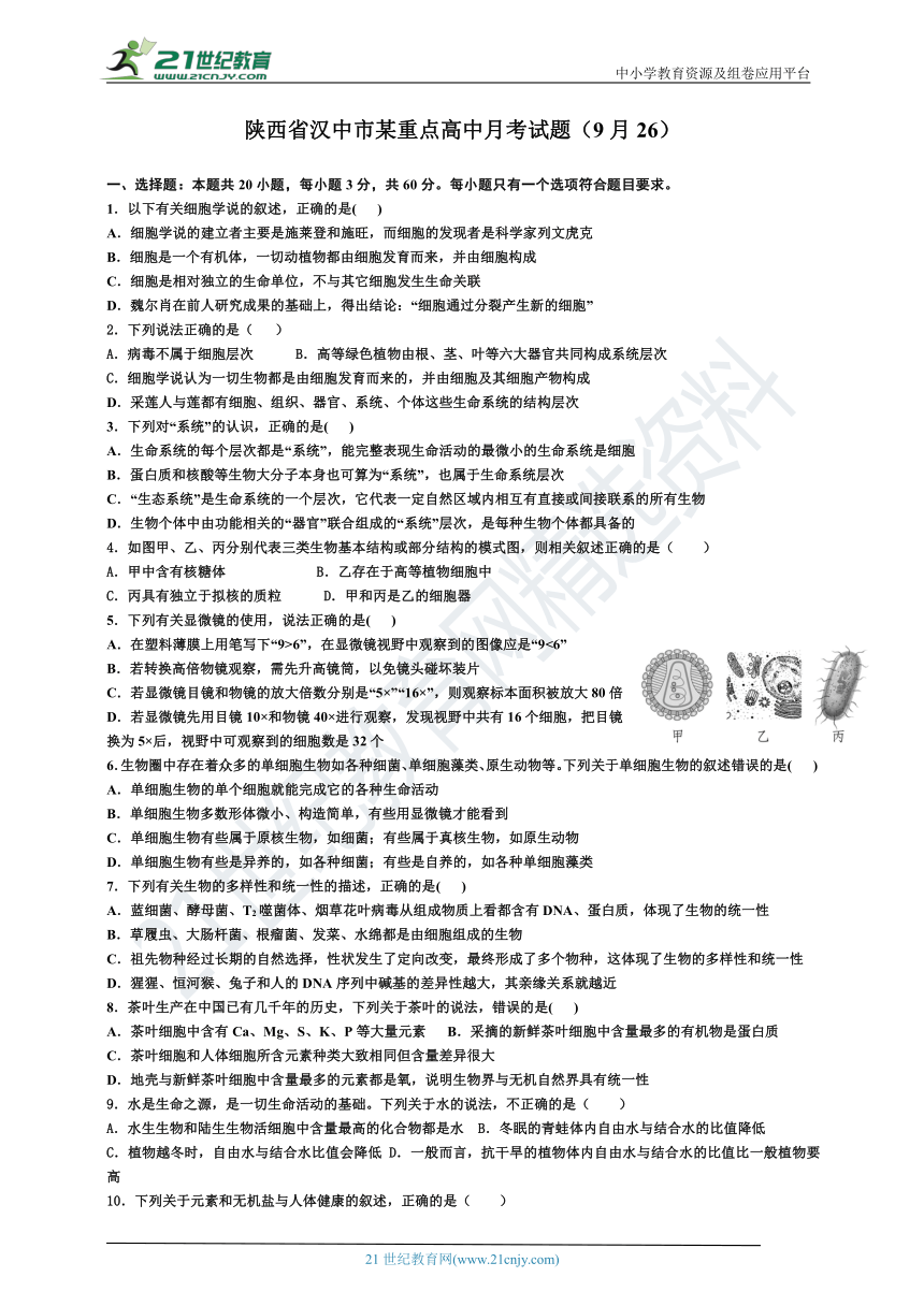 课件预览