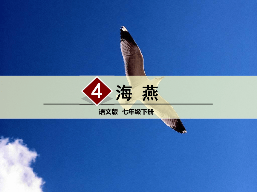 2017春语文（语文版）七年级下册4 海燕 课件