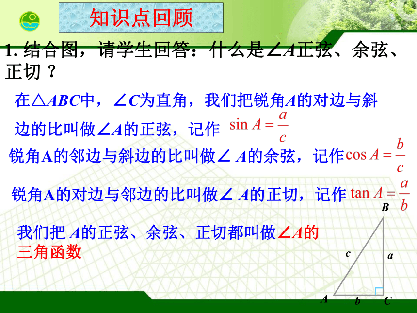 解直角三角形中考复习课件（44张PPT）