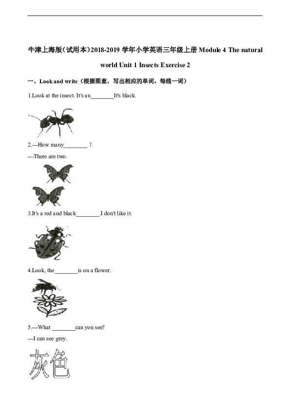 Module 4  Unit 1 Insects  Exercise 2 同步练习（含答案）