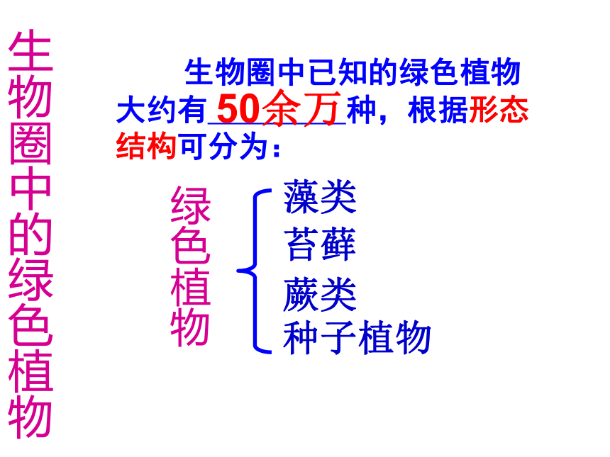 第三單元第一章第一節藻類苔蘚和蕨類植物課件共24張ppt20212022學年