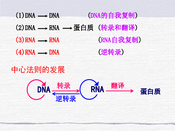 人教版高一生物必修二 第4章 第2节 基因对性状的控制（共27张PPT）