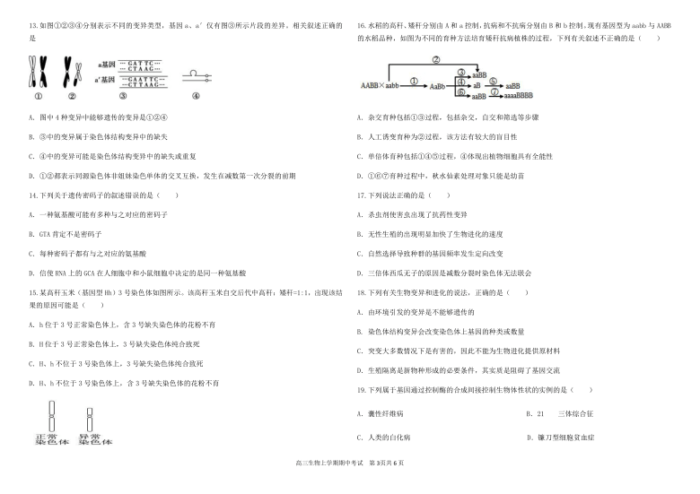 黑龙江省大庆市实中2021届高三上学期期中考试跟进测试生物试题     含答案