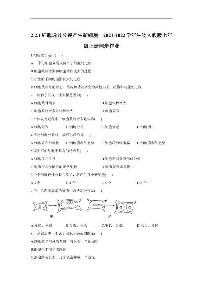 2.2.1细胞通过分裂产生新细胞—2021-2022学年生物人教版七年级上册同步作业（word版 含解析）